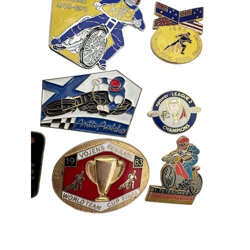 247 - Group of 12 Vintage Enamel Speedway Badges