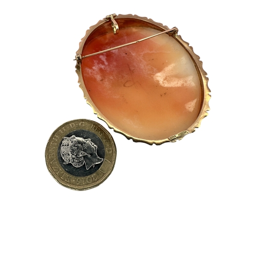 11 - Large Nine Carat Gold Antique Shell Cameo brooch (16.5g)...