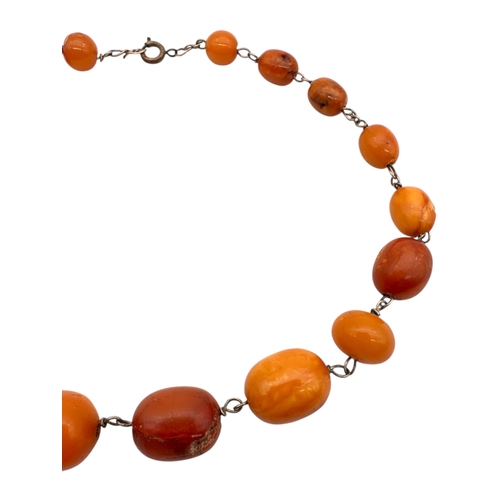 36 - Childs Small Butterscotch Amber Graduated Bead Necklace