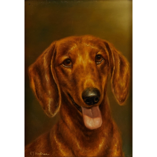 1111 - Roy Hodrien, 
British b.1957 - 

Portrait of a dachshund; 

oil on board, signed lower left 'R.J Hod... 