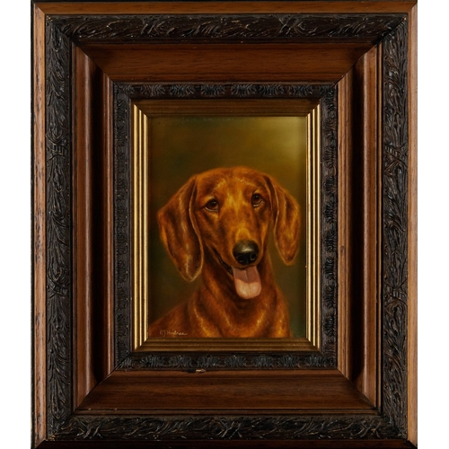 1111 - Roy Hodrien, 
British b.1957 - 

Portrait of a dachshund; 

oil on board, signed lower left 'R.J Hod... 