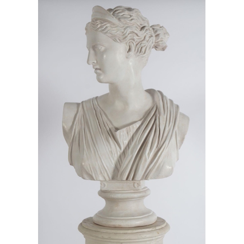 110 - CLASSICAL PLASTER BUST