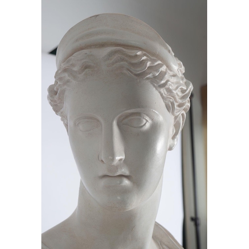 110 - CLASSICAL PLASTER BUST