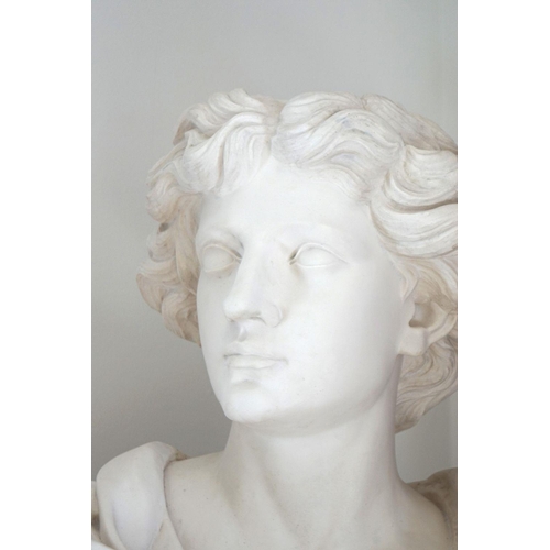 130 - CLASSICAL PLASTER BUST