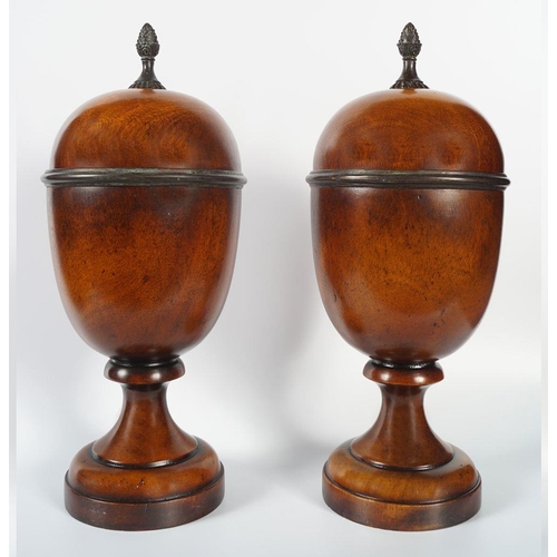 152 - SET OF 2 NEO-CLASSICAL LIDDED URNS