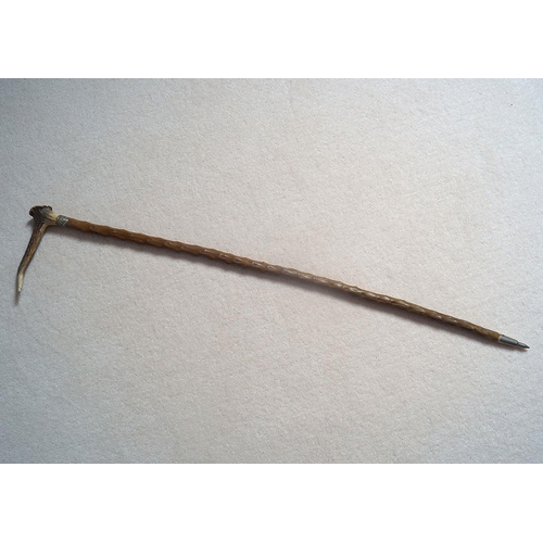 31 - NATURALISTIC WALKING STICK