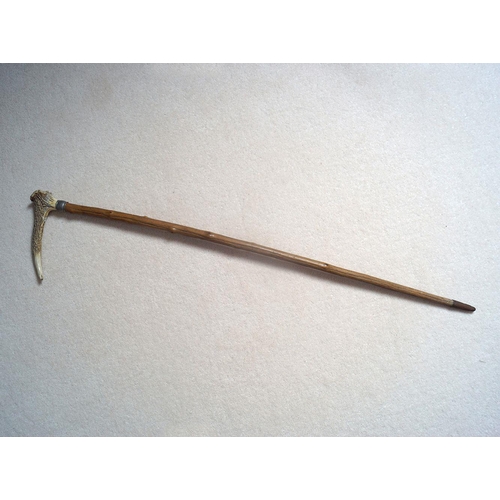 32 - NATURALISTIC WALKING STICK