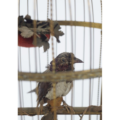 471 - LARGE 19TH-CENTURY GILDED BRASS BIRD CAGE