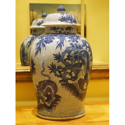 59 - PAIR OF LARGE CHINESE BLUE AND WHITE GINGER JARS