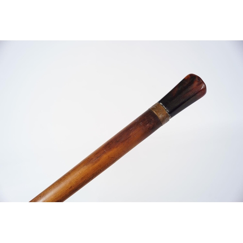 16 - 19TH-CENTURY WALKING STICK