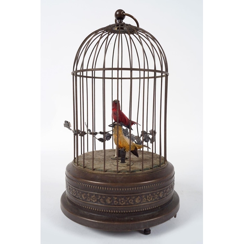 168 - BIRD CAGE AUTOMATON