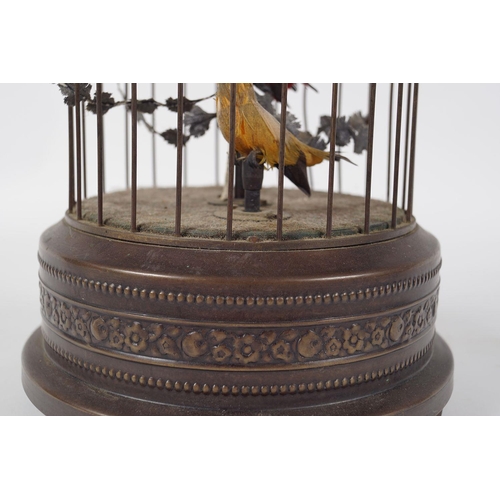 168 - BIRD CAGE AUTOMATON