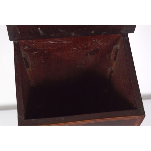171 - EDWARDIAN MAHOGANY HANGING BOX
