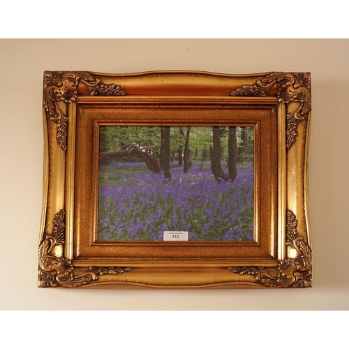 411 - GILT FRAMED PHOTOGRAPH
