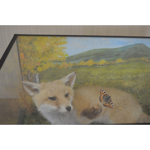 103 - TAXIDERMY: FOX CUB AND BUTTERFLY