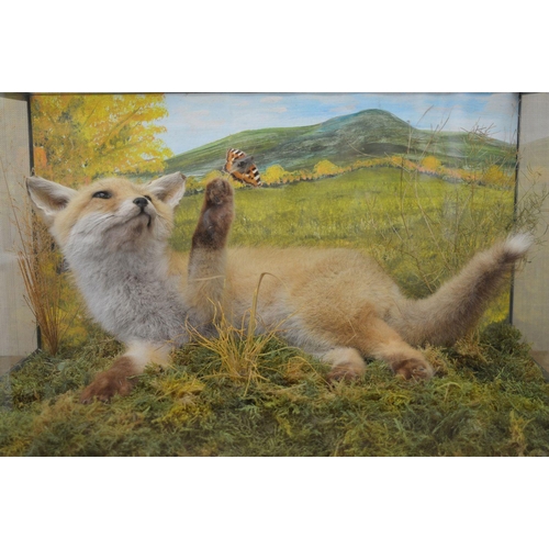 103 - TAXIDERMY: FOX CUB AND BUTTERFLY