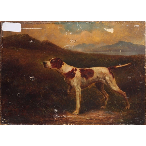 Lot 1154      