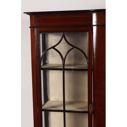 286 - EDWARDIAN MAHOGANY AND INLAID CABINET