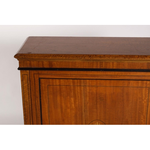 289 - 19TH-CENTURY SATINWOOD AND INLAID SIDE CABINET