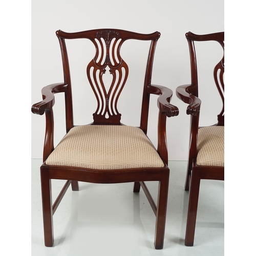 576 - PAIR OF EDWARDIAN CHIPPENDALE STYLE ARMCHAIRS