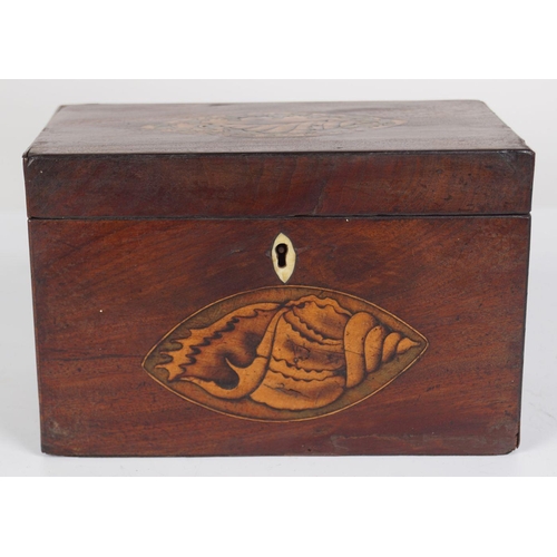 209 - GEORGIAN MAHOGANY & INLAID TEA CADDY