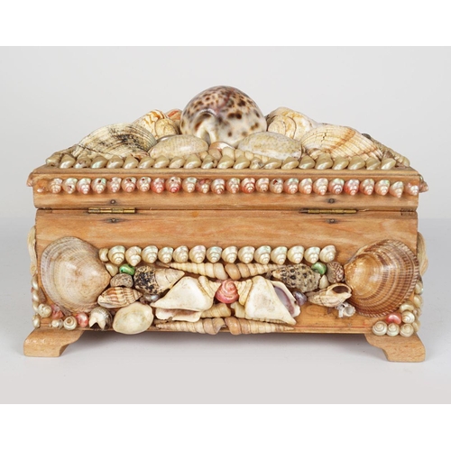 221 - NAUTICAL SHELL JEWELLERY BOX