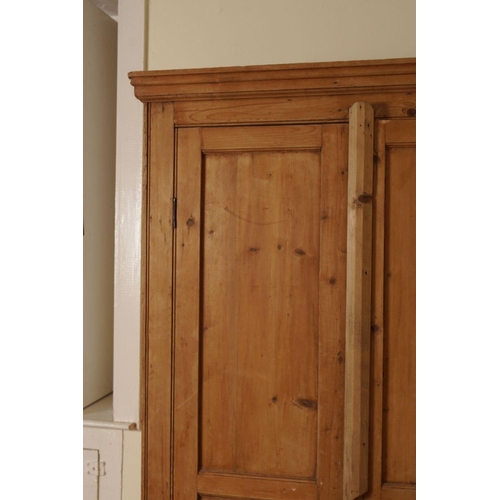 459 - 19TH-CENTURY PINE WARDROBE