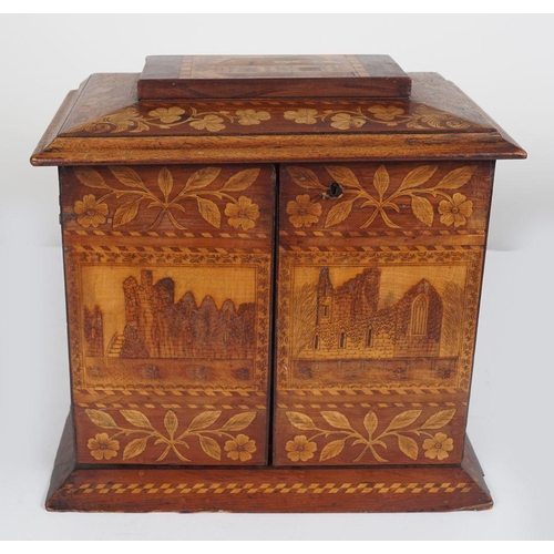 61 - 19TH-CENTURY KILLARNEY ARBUTUS CABINET