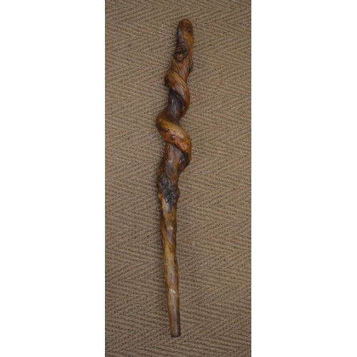 173 - 19TH-CENTURY IRISH SHILLELAGH WALKING STICK