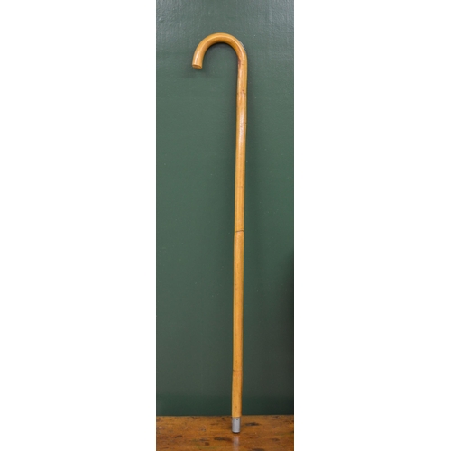 208 - 19TH-CENTURY WALKING STICK