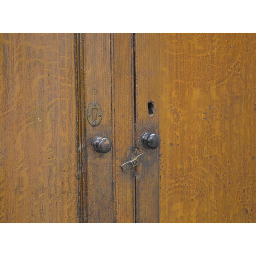 239 - 19TH-CENTURY OAK PANELLED CUPBOARD