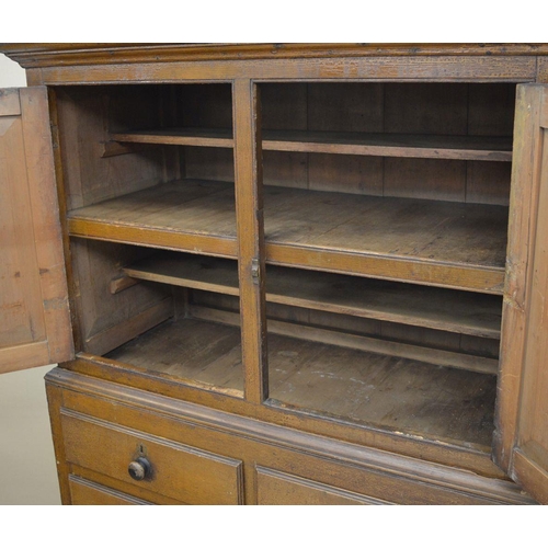 239 - 19TH-CENTURY OAK PANELLED CUPBOARD