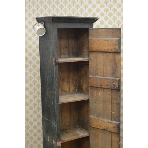 260 - 19TH-CENTURY IRISH PINE BATCHELOR'S FOOD CUPBOARD