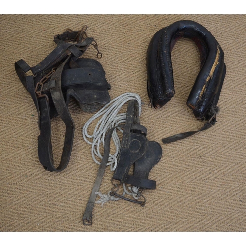 314 - SET OF DONKEY HARNESSES