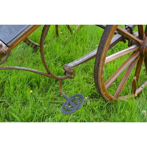 315 - IRISH JAUNTING/SIDE CAR