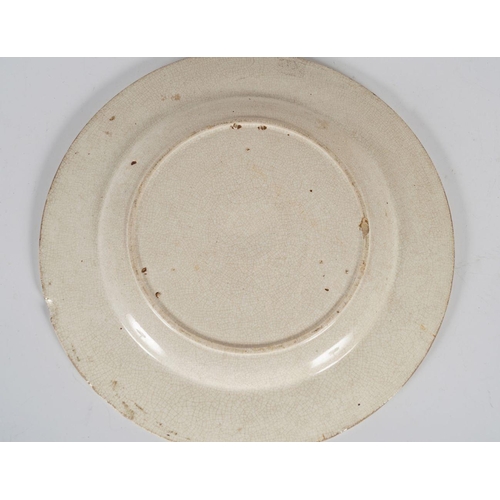 358 - SPONGEWARE PLATE