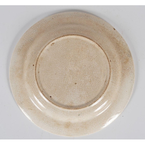 363 - SPONGEWARE PLATE