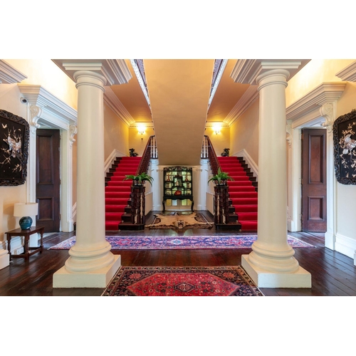 10 - TAXIDERMY: EARLY 20TH-CENTURY LION SKIN RUG