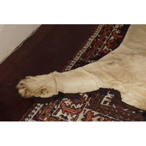 10 - TAXIDERMY: EARLY 20TH-CENTURY LION SKIN RUG