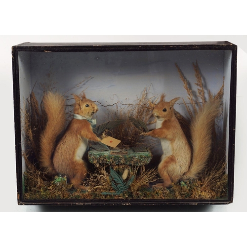 154 - TAXIDERMY: 2 SQUIRRELS PLAYING CARDS