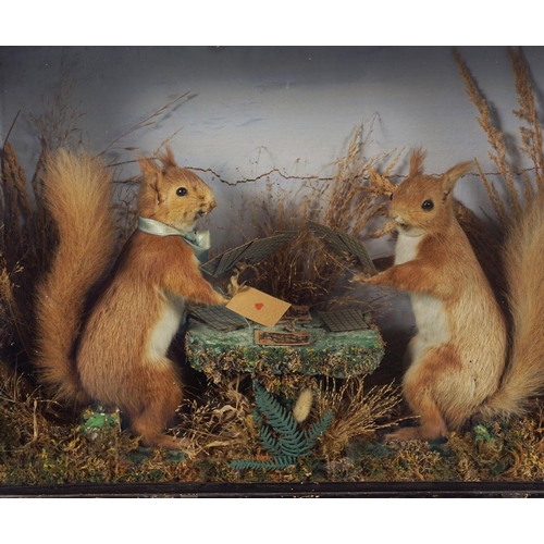 154 - TAXIDERMY: 2 SQUIRRELS PLAYING CARDS