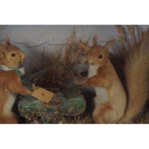 154 - TAXIDERMY: 2 SQUIRRELS PLAYING CARDS