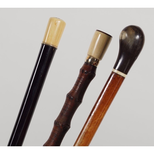 742 - 3 INTERESTING EARLY 20TH-CENTURY WALKING STICKS