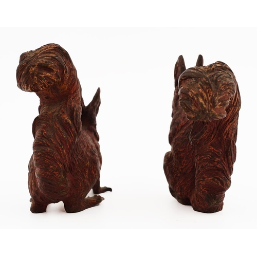 67 - 2 COLD PAINTED VIENNA BRONZE SQUIRRELS