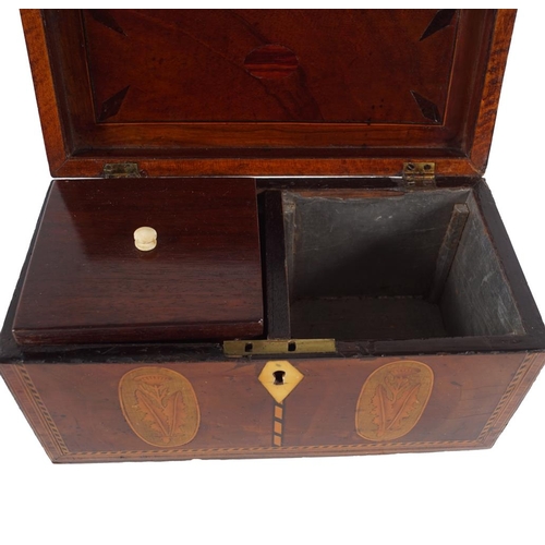 32 - GEORGE III MAHOGANY TEA CADDY