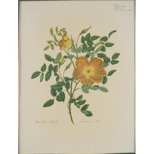 622 - SET OF 3 BOTANICAL PRINTS