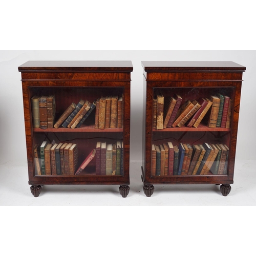 10 - PAIR OF REGENCY ROSEWOOD BOOKCASES