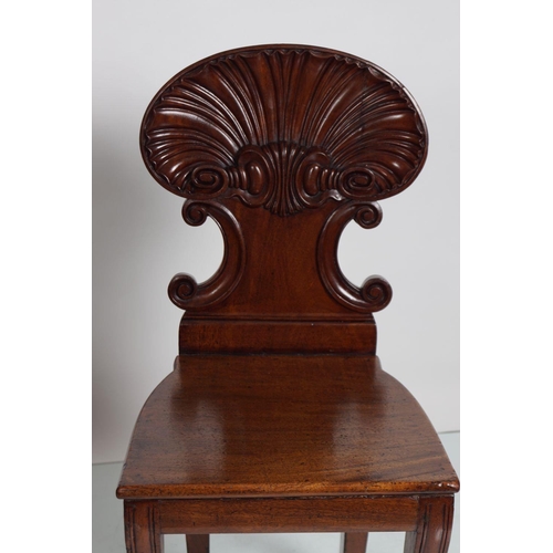 154 - MATCHED PAIR OF WILLIAM IV MAHOGANY HALL CHAIRS