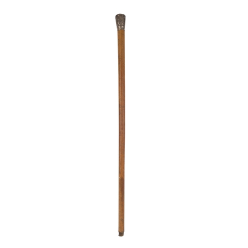 159 - EARLY 20TH-CENTURY WALKING STICK