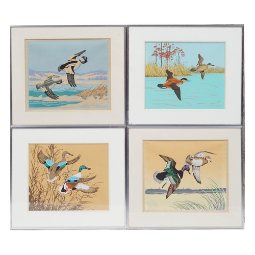 17 - SET OF 4 ORNITHOLOGICAL WATERCOLOURS